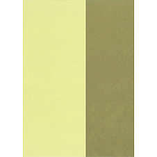 Dárkový papír dvoubarevný zlatá/slonová kost 0,70x25 m