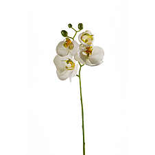 Orchidej 56 cm bílá