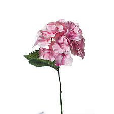 Hortenzie 28 cm růžová