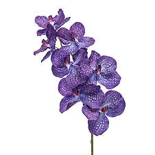 Vanda 98 cm modrá