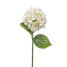 Hortenzie 67 cm bílá
