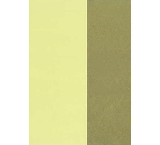 Dárkový papír dvoubarevný zlatá/slonová kost 0,70x25 m