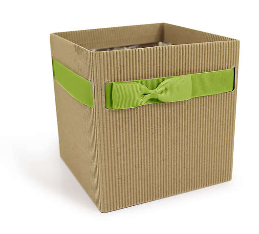 Krabička papírová SIMPLY velká přírodní/zelená