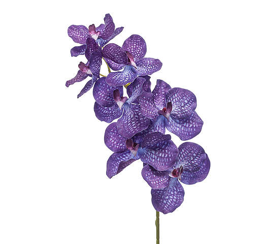 Vanda 98 cm modrá