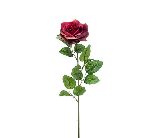 Růže marleen 63 cm, vínově červená
